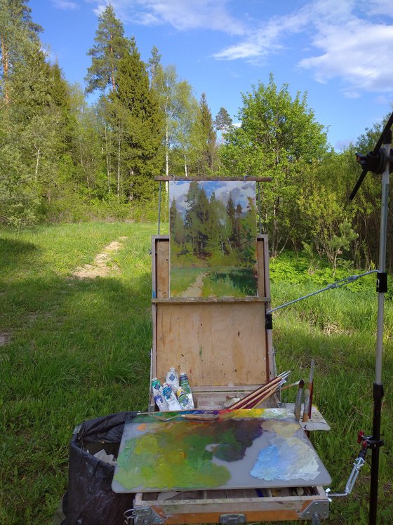May Forest