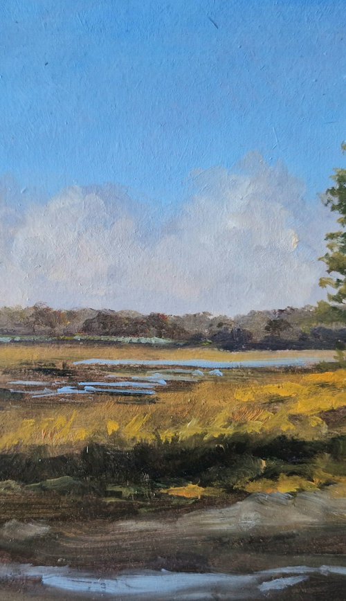 The marsh by José DAOUDAL