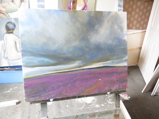 Goathland Heather