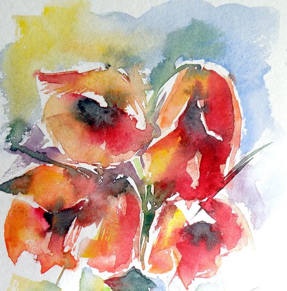 Poppies