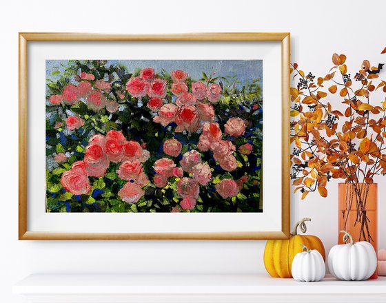 Roses in Bloom