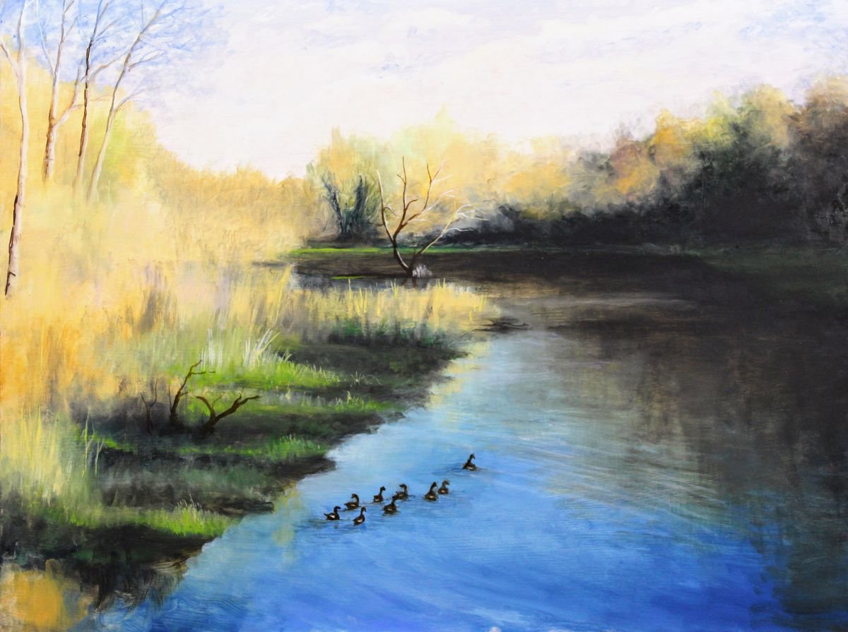 Ducks in a Row by Ben Jurevicius