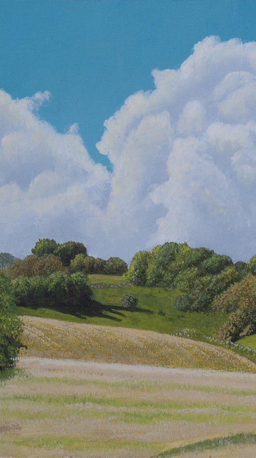Rural Summer Landscape by Dietrich Moravec