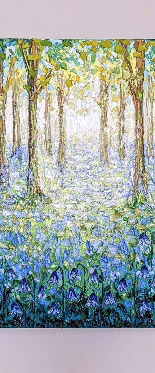 Sunlit bluebells by Paige Castile