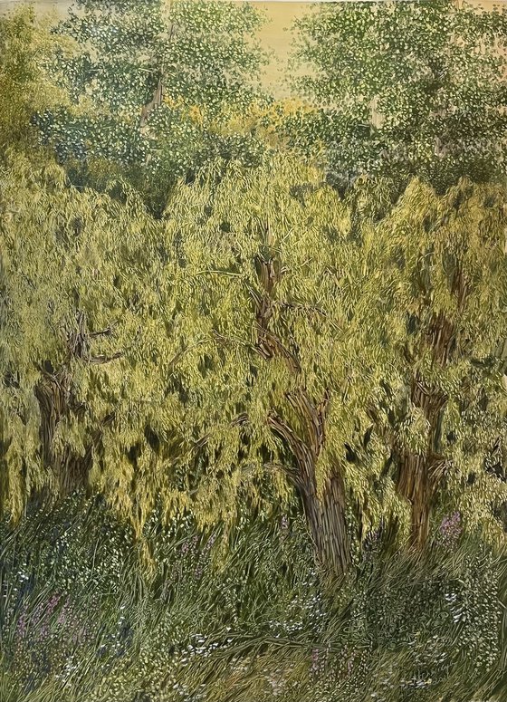Golden Willows