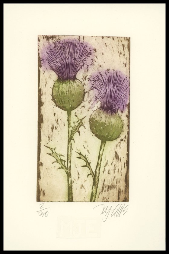 Thistle