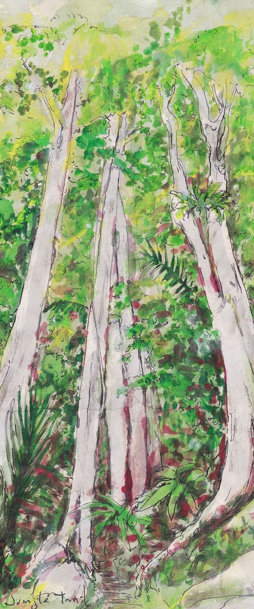 Jungle Trail by Gordon T.