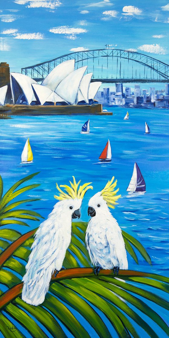 Sydney Cockatoo