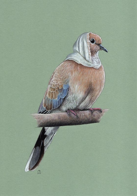 Original pastel drawing bird "Laughing dove"