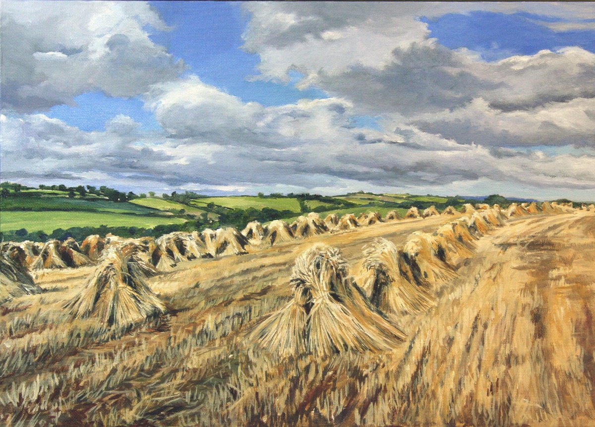 Sheaves - Mid Devon by Kirsty Bonning