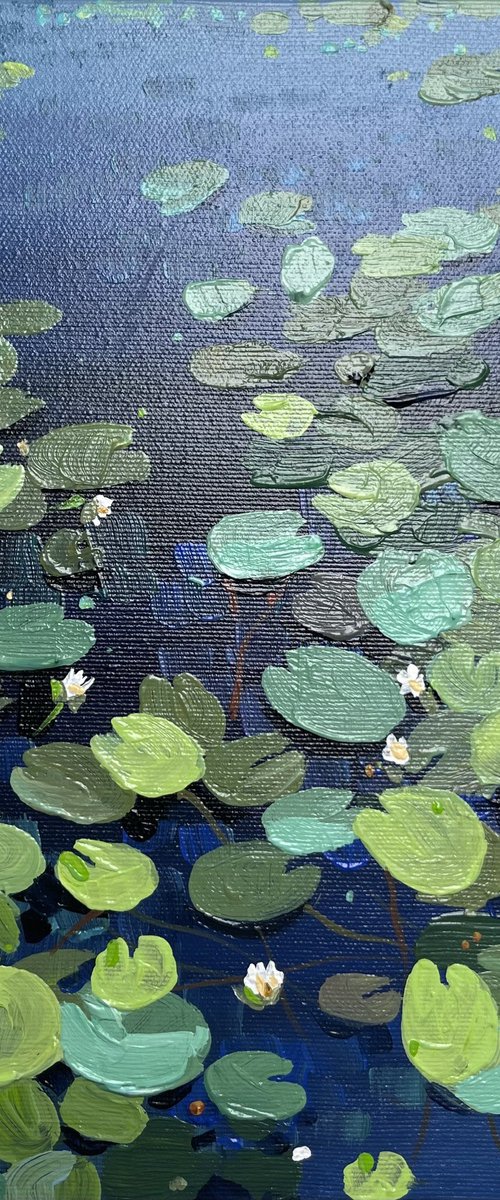 Water lilies. The pond. Evening dusk by Yevheniia Salamatina