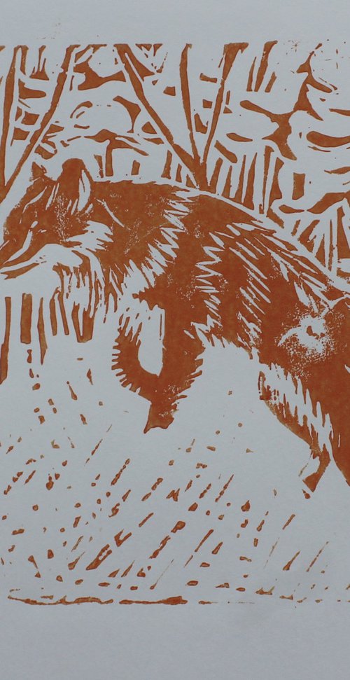 Red fox by Joanna Plenzler