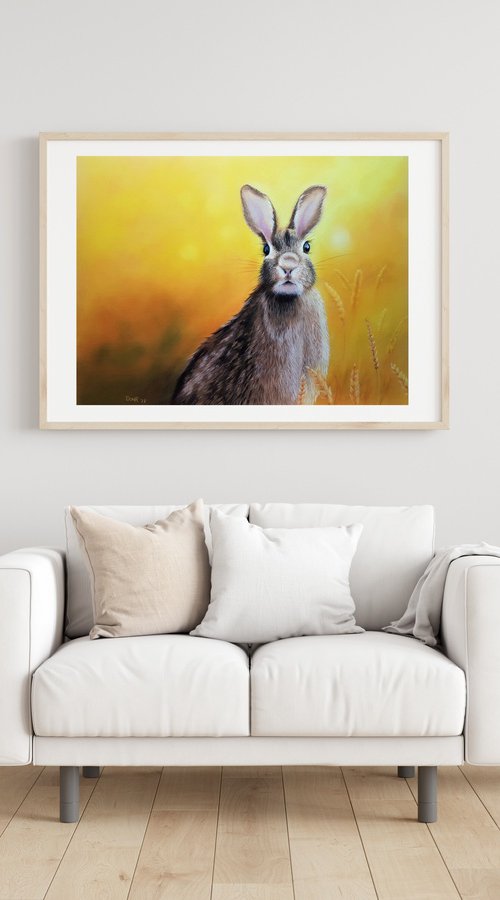 Hase im Feld by Renate Dohr