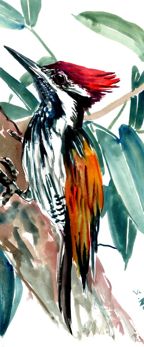 black rumped flameback woodpecker, original watercolor painting by Suren Nersisyan