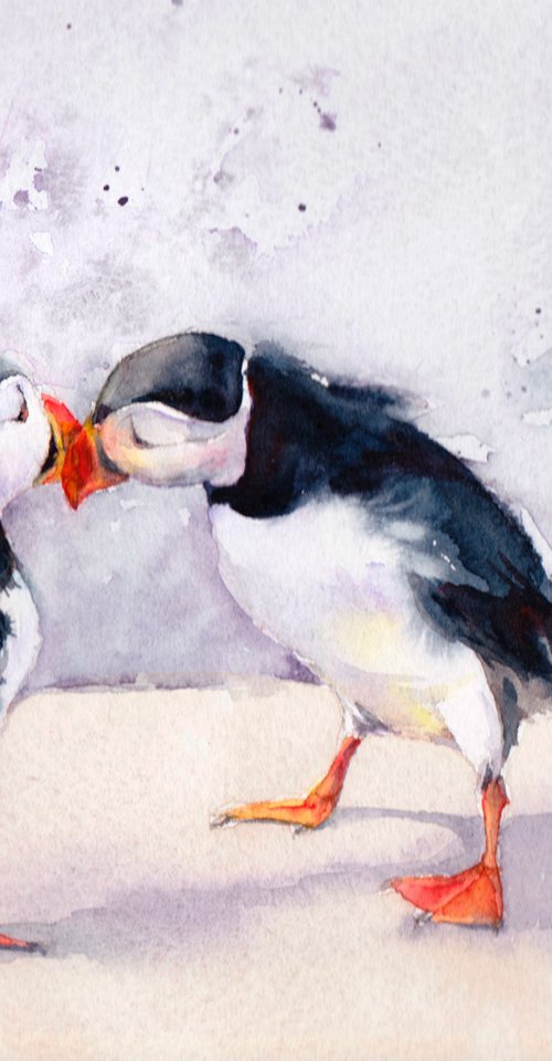Puffins - It must be love by Anjana Cawdell