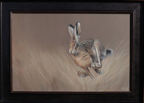 Hare in the Meadow's Embrace by Alex Jabore