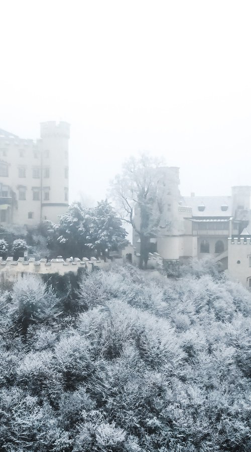 Hohenschwangau CASTLE by Fabio Accorrà