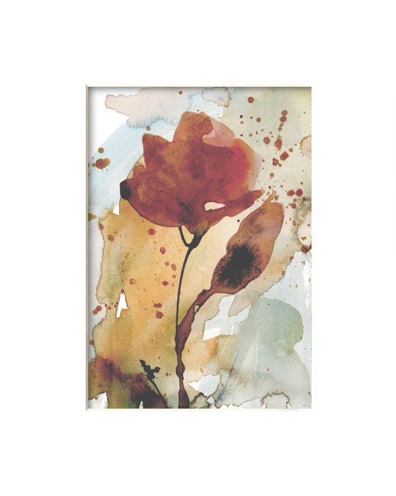 Organic Delights 20