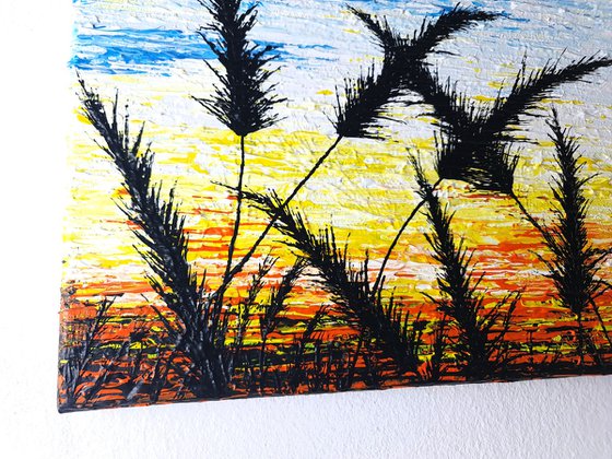 Sunrise In The Grass.