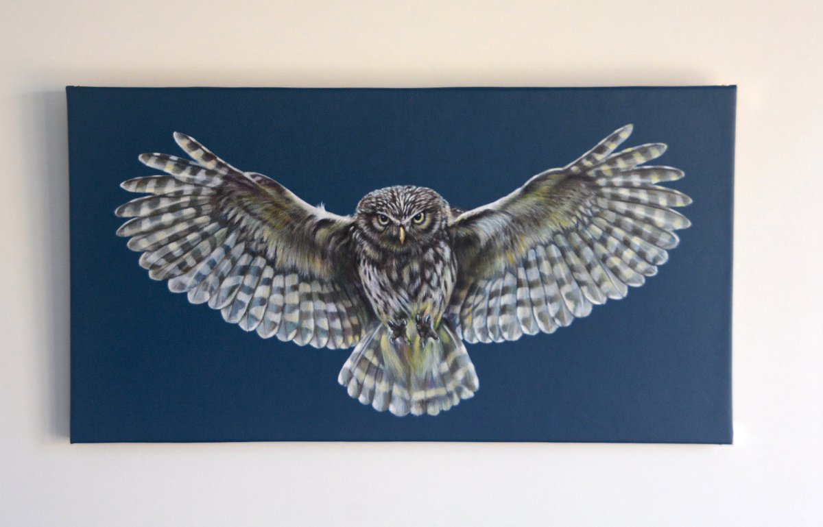 Swooping Owl by Karl Hamilton-Cox
