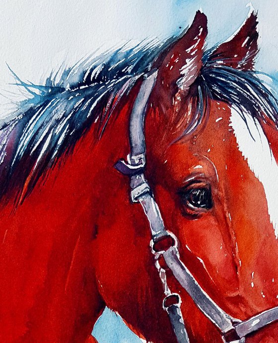 Horse in Red