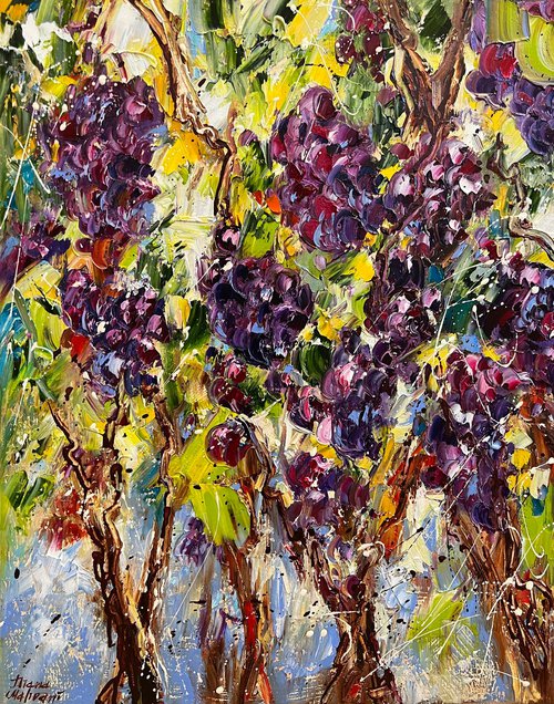 Grapes by Diana Malivani