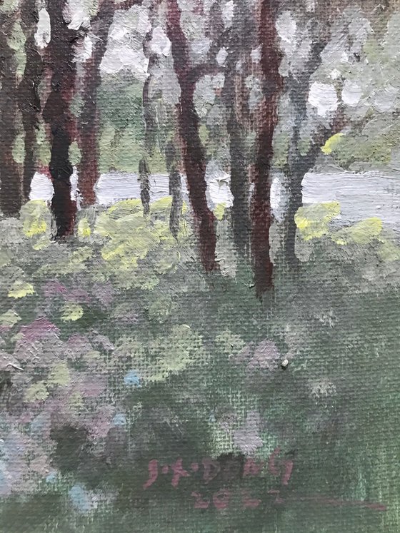 Original Oil Painting Wall Art Signed unframed Hand Made Jixiang Dong Canvas 25cm × 20cm lights dancing in the woods landscape Small Impressionism Impasto