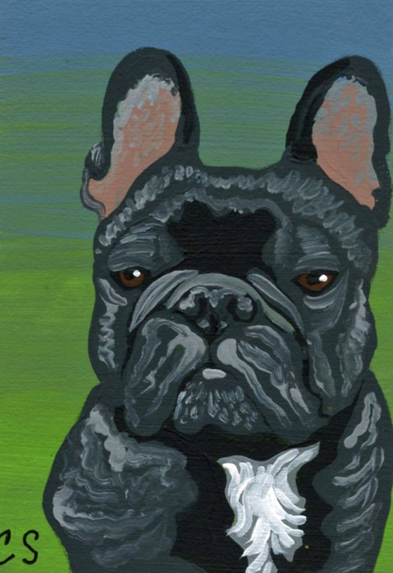 French Bulldog