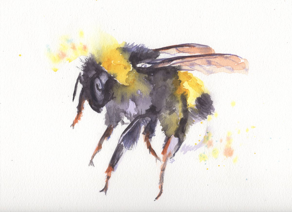 Watercolour Bee 1 by Sarah Stowe