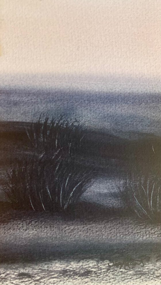 Dunes, grasses, sea