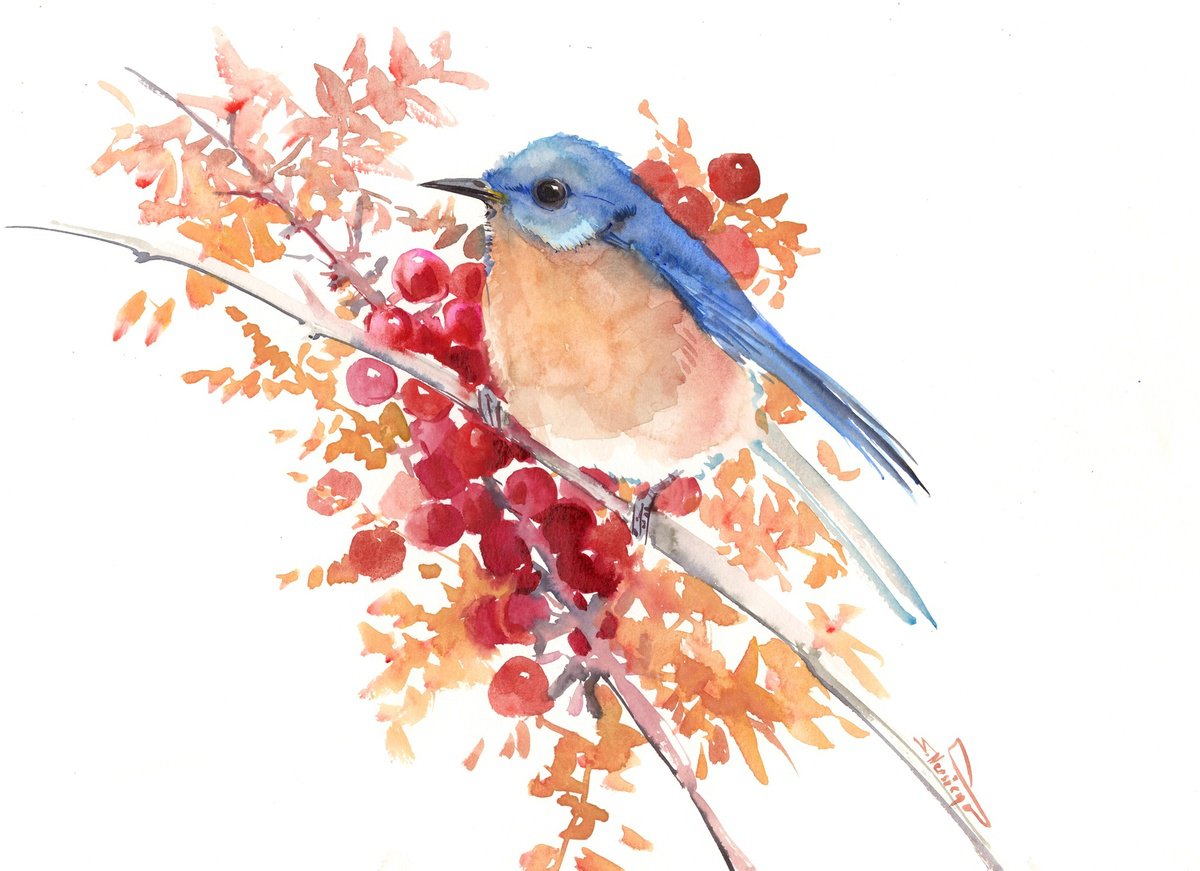 Bluebird and berries by Suren Nersisyan