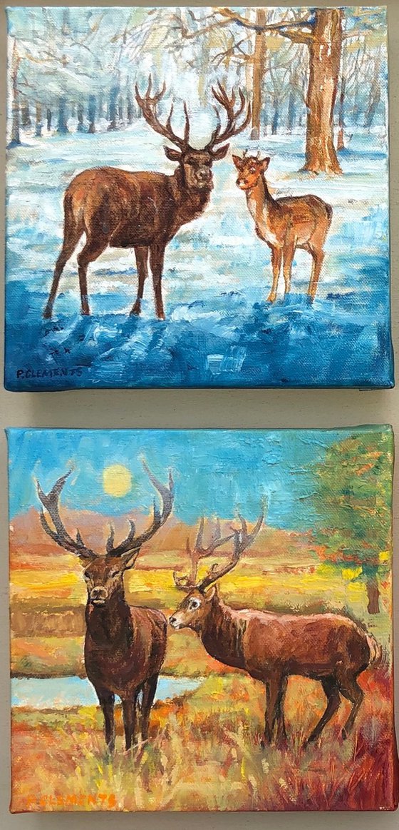 Four Seasons of Richmond Park