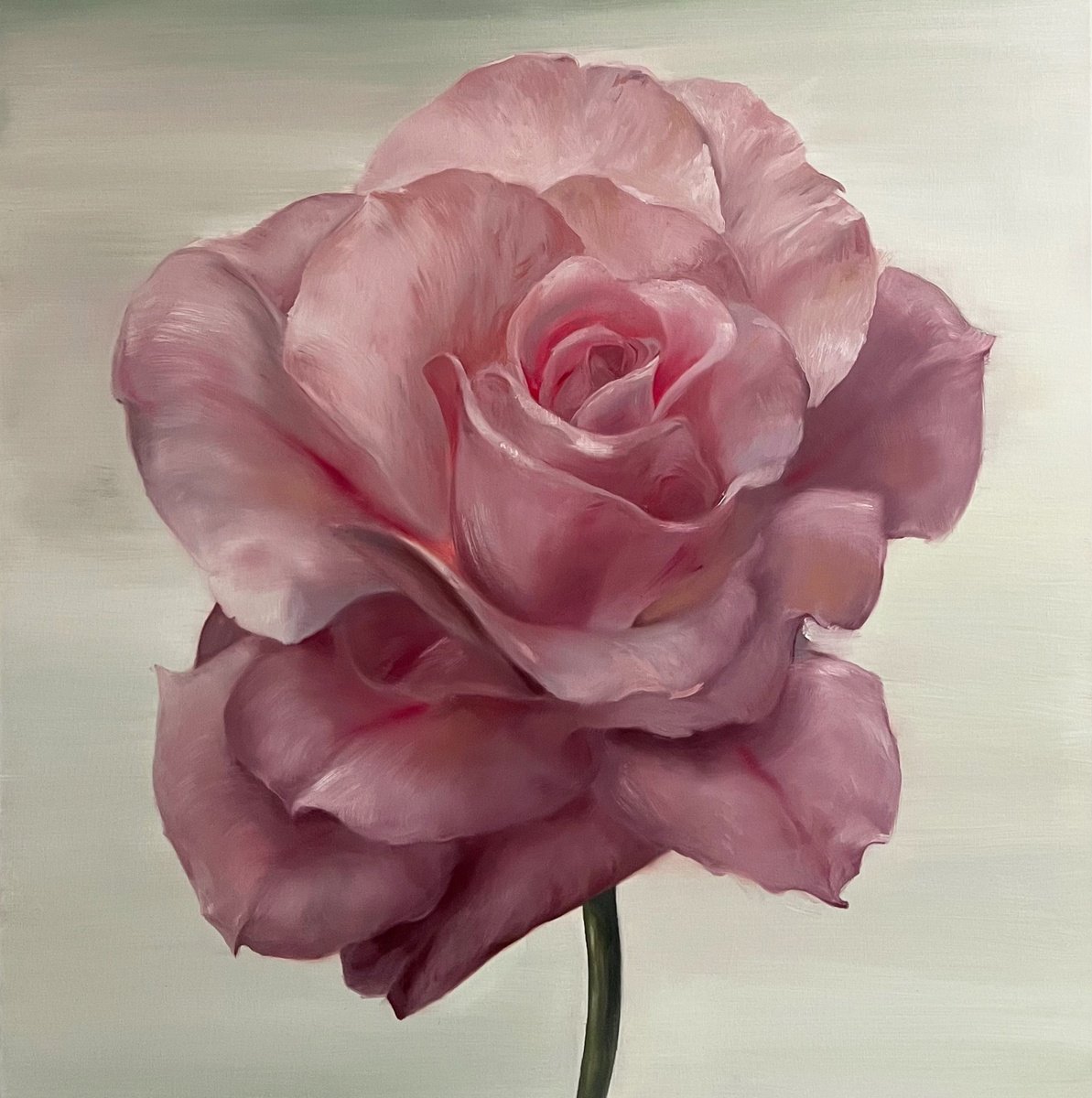Rose 1 By Rosi Roys, 39 X 39, Artwork For Sale On Artfinder