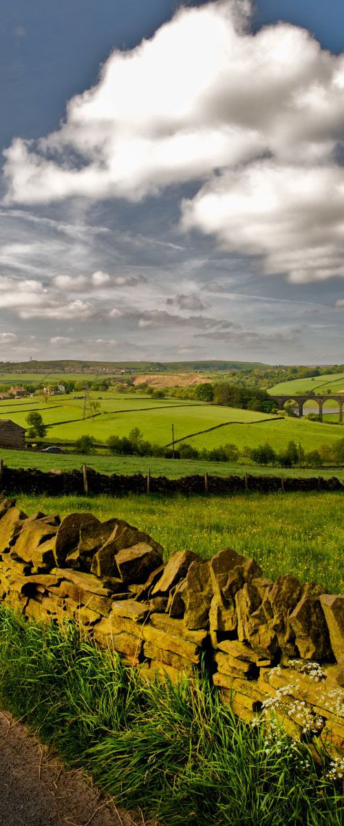 Yorkshire by Ron Colbroth