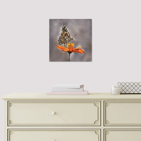 Butterfly on flower
