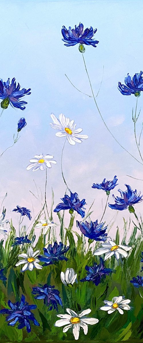 Cornflower-daisy field by Olga Kurbanova