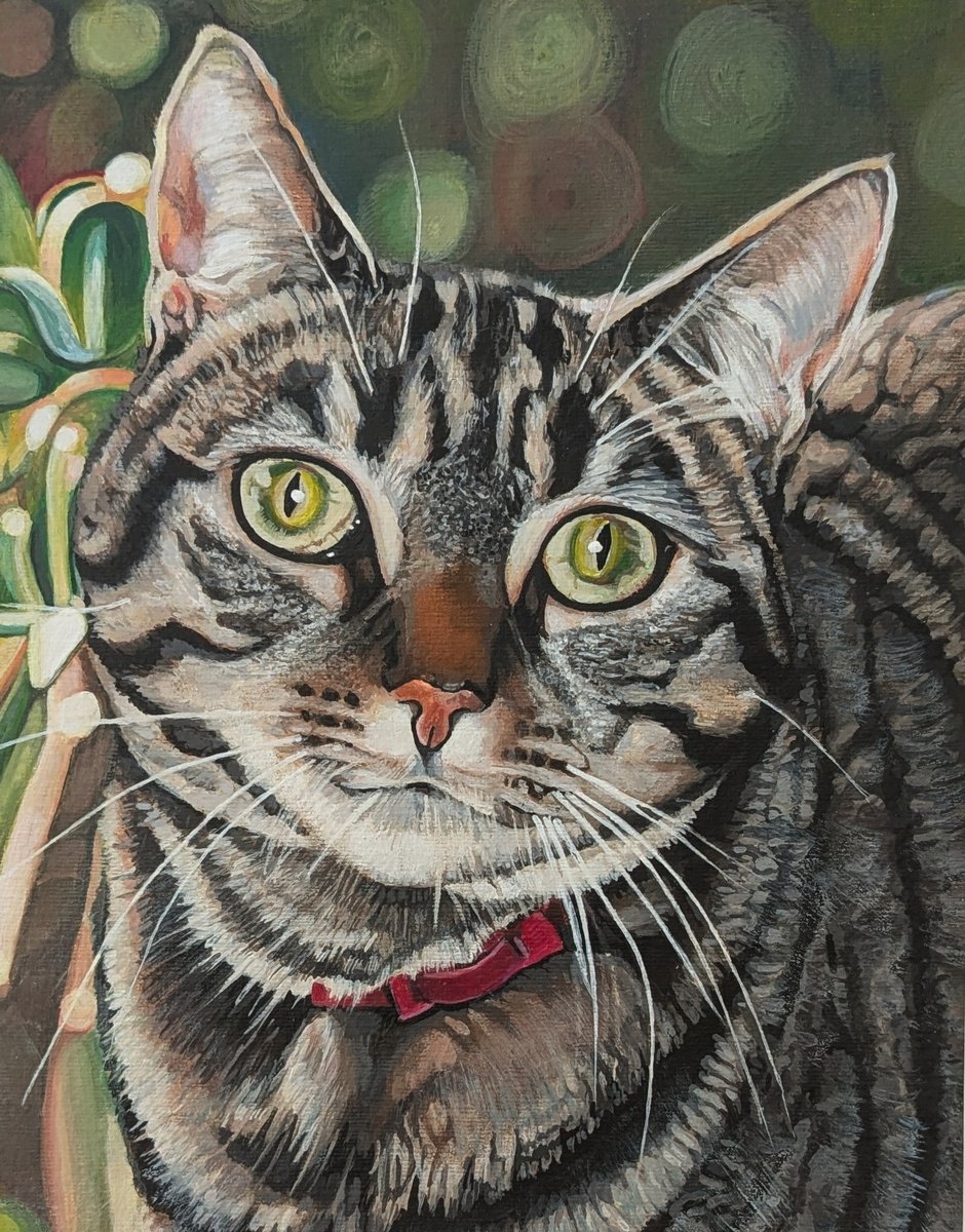 Green eyes by Karen Wilcox