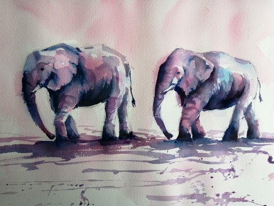 elephant 16