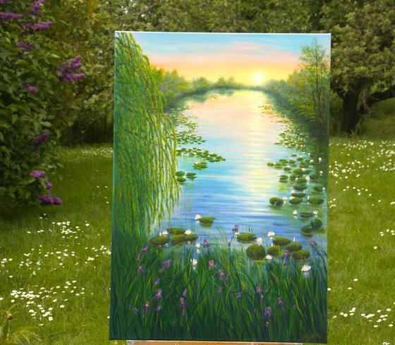Water lily pond