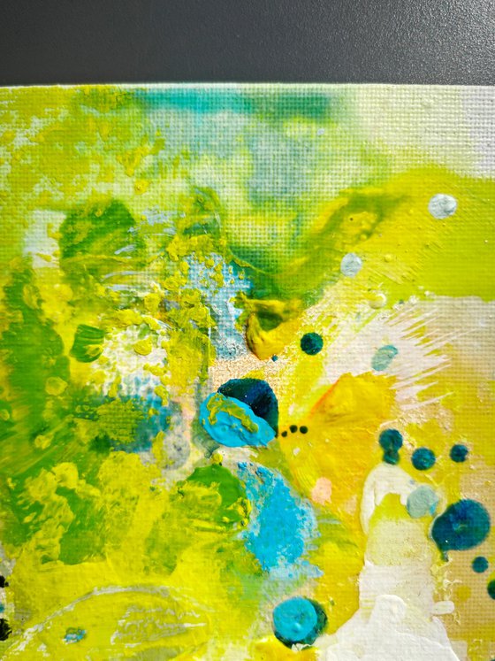 Tender Springlight N°4