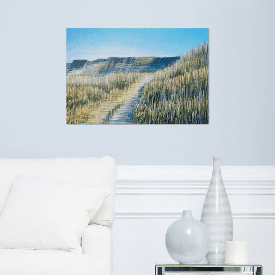 A Summer Sea Cliff Path