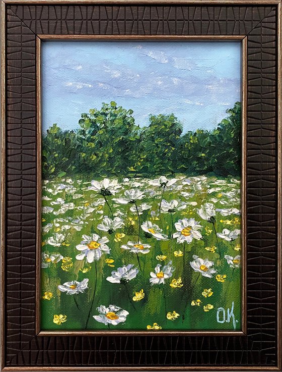 Daisy field