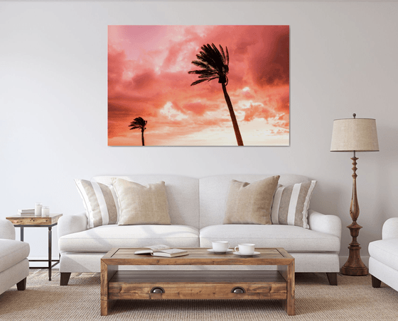 PINK PALMS 3.