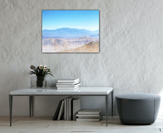 Sonora Desert