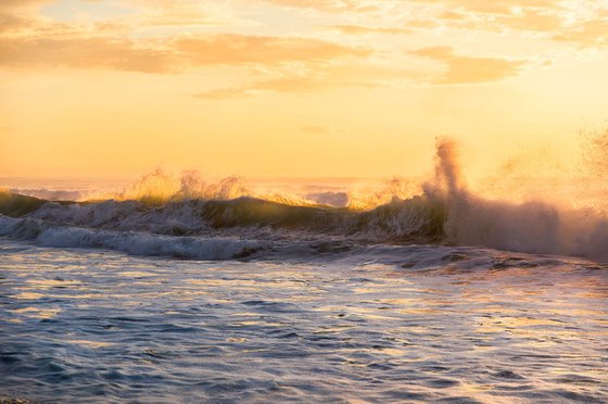 GOLDEN WAVE