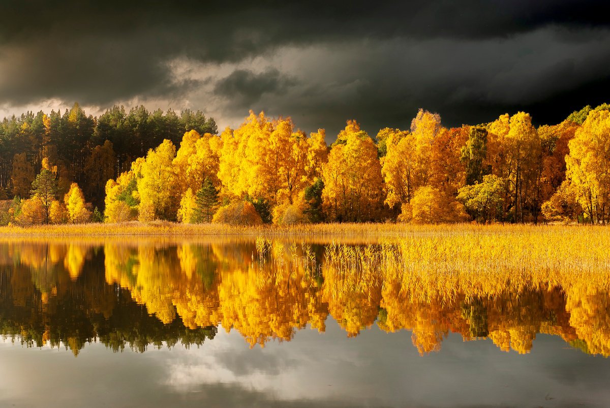 Photorealistic Landscape Photograph By Stephen Hodgetts Photography, 19 X 13", Autumn Trees - Loch Vaa Scotland, Artfinder