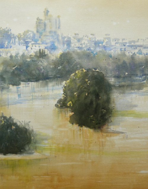 Pogled na ušće - zeleno i zlatno by Nenad Kojić