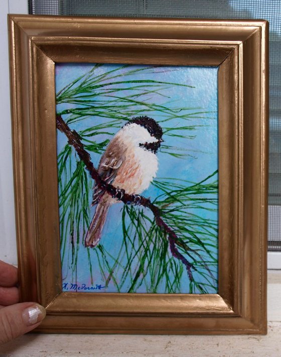 Sky Blue Pink Chickadee - framed original 7X5 inch bird painting by K. McDermott (SOLD)