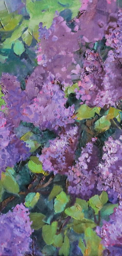 Lilac by Anastasiia Grygorieva