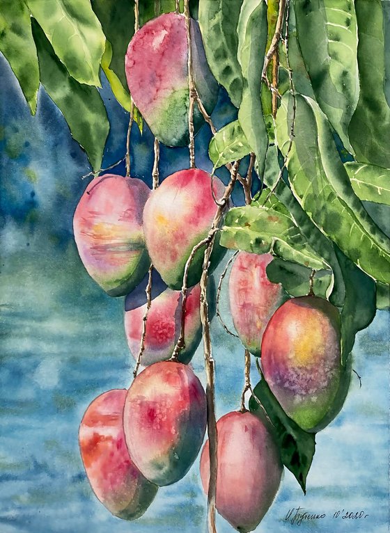 Mango, original watercolour painting